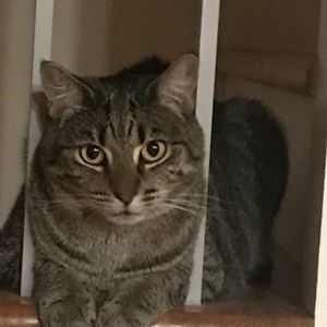 Meet your Posher, Fiona